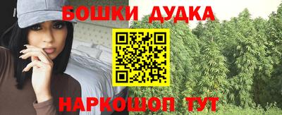 гидра Ачхой-Мартан