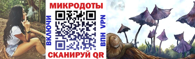 Псилоцибиновые грибы Cubensis Алейск