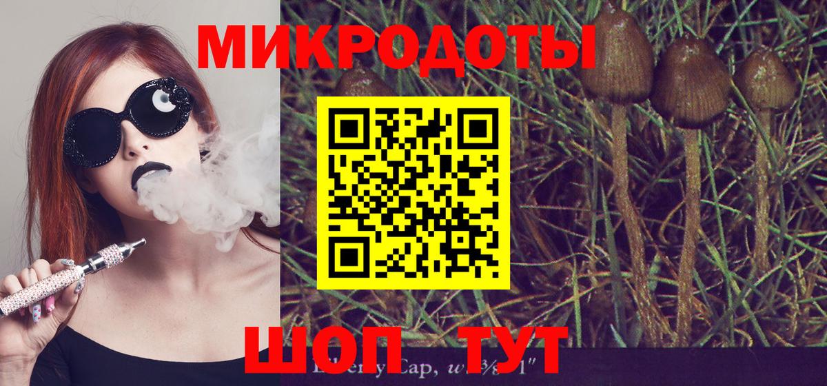 Алейск  Псилоцибиновые грибы мицелий  Вход с VPN 